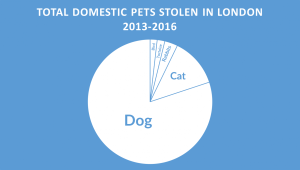 pets-stolen